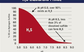 How to Prevent the Formation and Release of Hydrogen Sulfide
